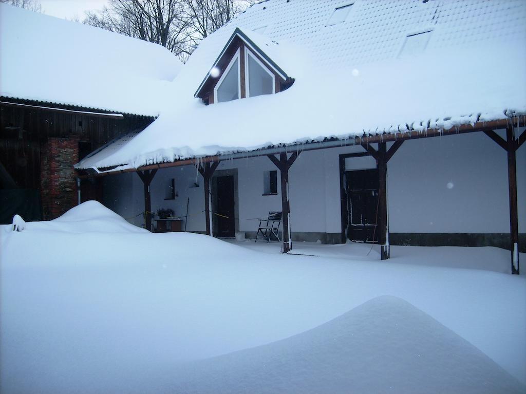 Penzion U Dvojice Nove Mesto na Morave Dış mekan fotoğraf